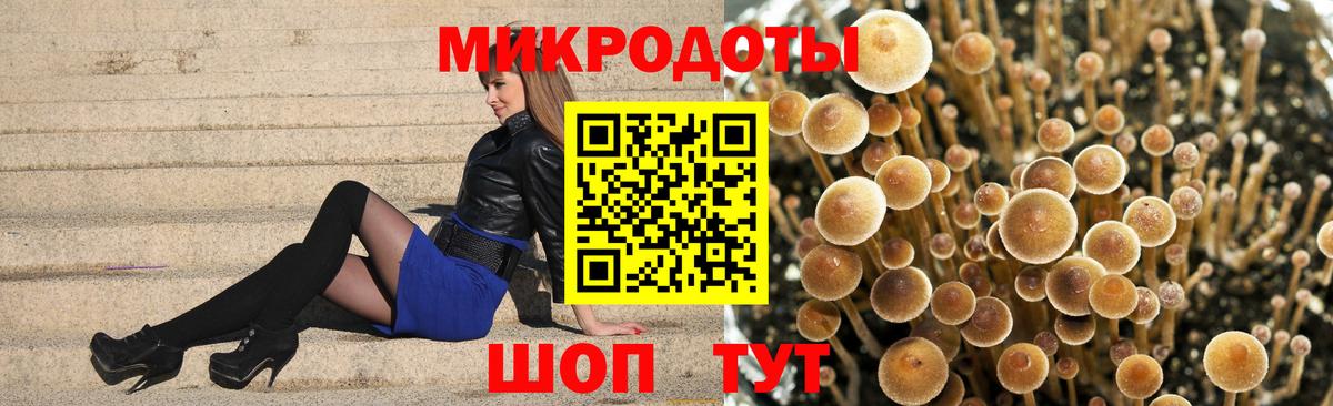 Галлюциногенные грибы мухоморы Камень-на-Оби